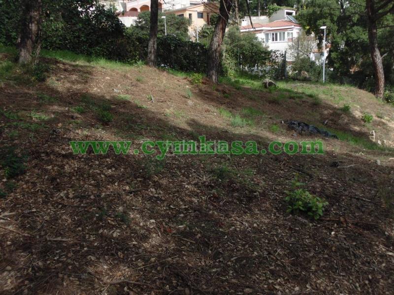 Foto 4698aeda-d73d-4920-936d-d456c0cfa791. Fondo rustico in Tordera Tordera