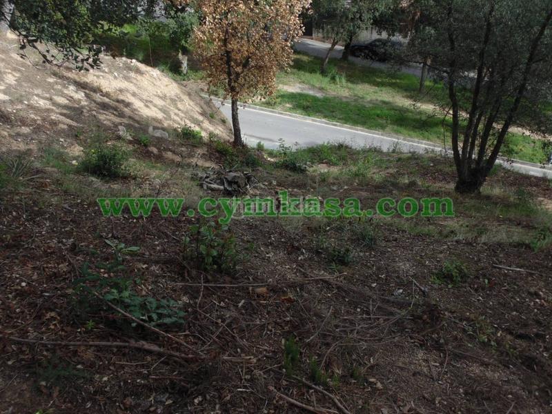 Foto a191b709-ce14-4071-82d2-7ea79c5f9c59. Fondo rustico in Tordera Tordera