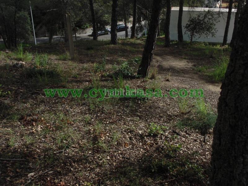 Foto bd631cb0-780a-4dd8-a5e5-9077fa6ddb21. Fondo rustico in Tordera Tordera