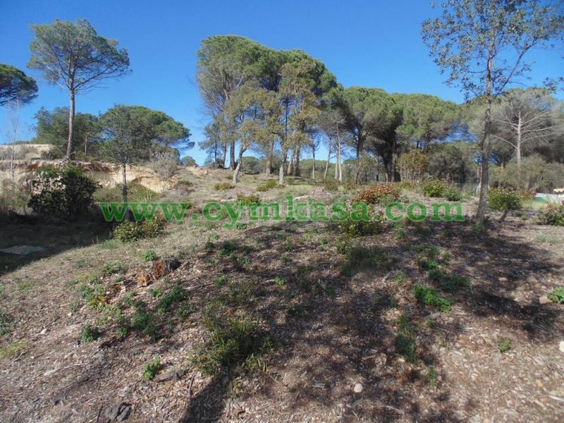 Foto 15005f71-89e8-4ac2-b803-533ef1611f3f. Finca rústica a Sils