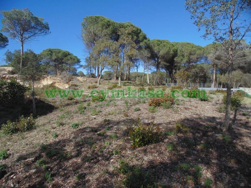 Foto ca544e3d-8797-4f03-983b-e6d741ec214f. Finca rústica a Sils