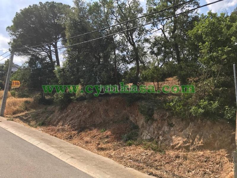 Foto dd8fa372-9a5c-41d1-82cd-ffb472150950. Terreny residencial a Niàgara Parc -Àgora Parc Tordera