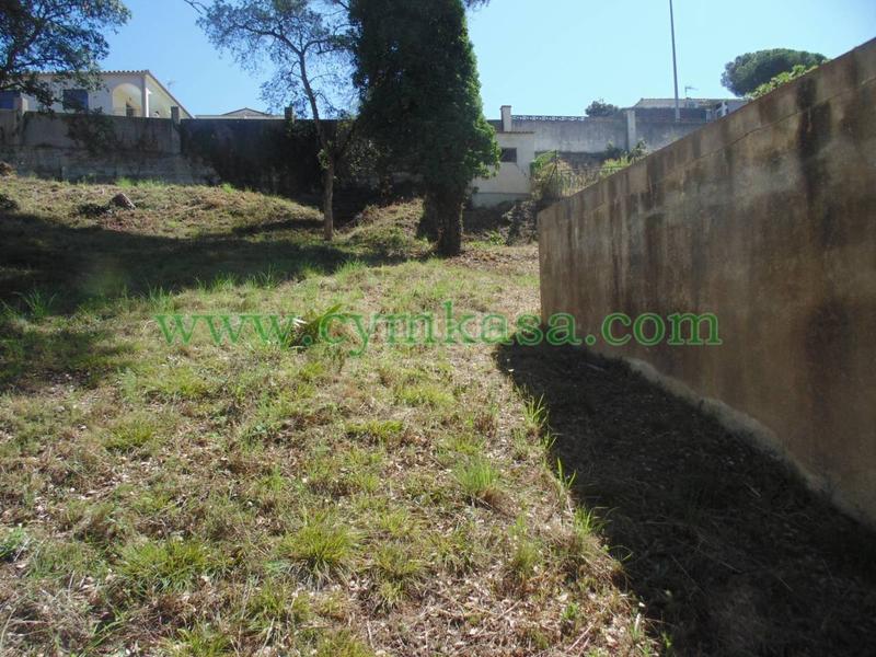 Foto aeeb1059-57fc-4d0c-be90-a7cf18e18a63. Finca rústica a Mas Mora-Sant Daniel Tordera