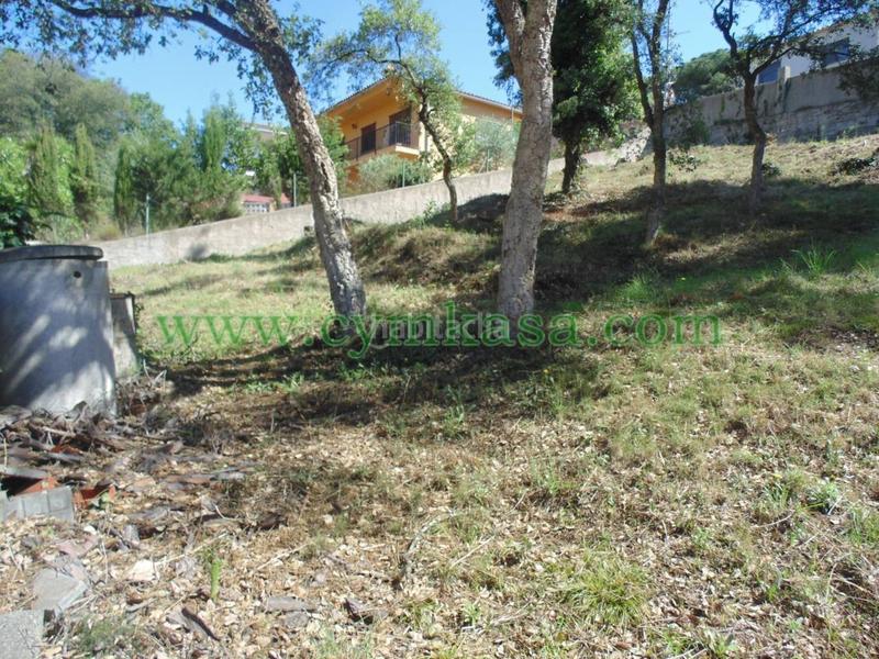 Foto c3db9f29-14fd-4af5-aa42-002630cca08c. Finca rústica a Mas Mora-Sant Daniel Tordera