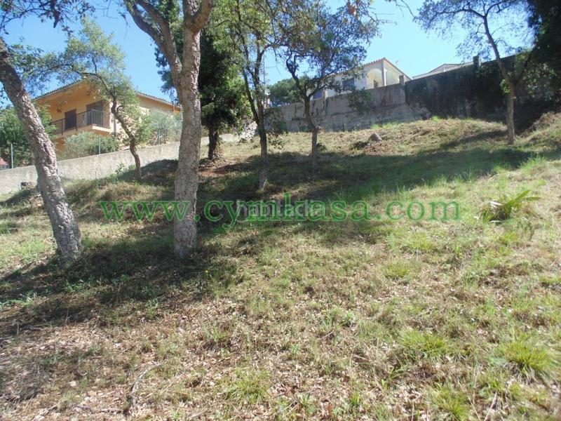 Foto ec0be7c8-52c5-4b87-af26-66708175e62b. Finca rústica a Mas Mora-Sant Daniel Tordera