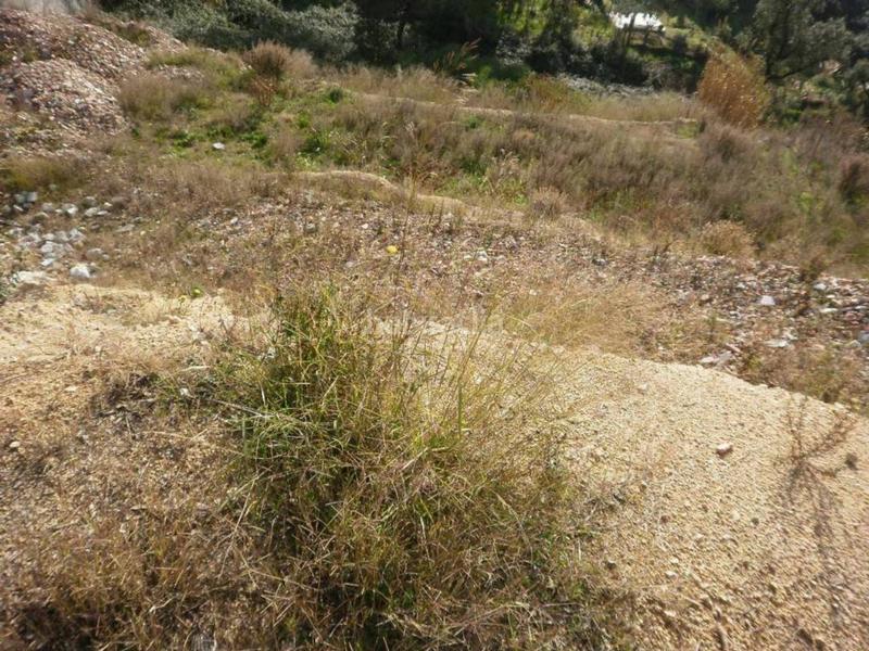 Foto f604c501-cd37-452e-9efb-1bfd27f5e030. Finca rústica a Mas Altaba - El Molí Maçanet de la Selva