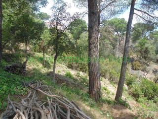 Finca rústica a Serra Brava. Terreno en venta