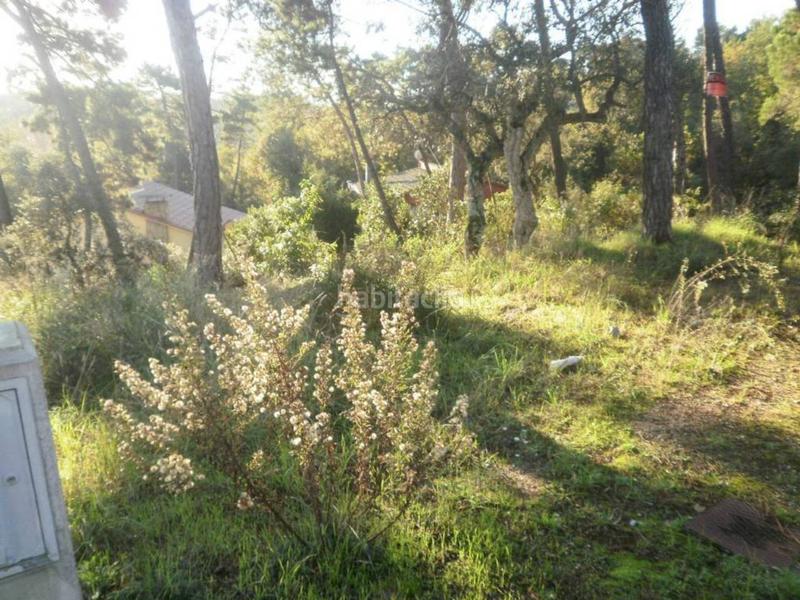 Foto ac1d5ee8-aac6-431d-8d6e-3c9786b60f7f. Residential plot in Residencial Park Maçanet de la Selva