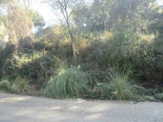 Terreny residencial a Montbarbat. Terreno en venta