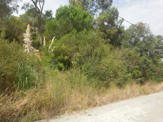 Terreny residencial a Montbarbat. Terreno en venta