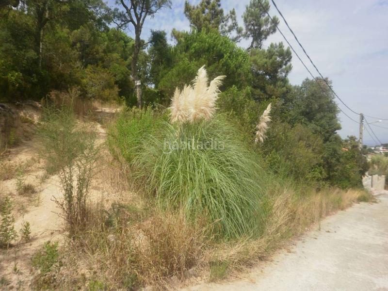 Foto 470d3762-3a5f-4d5a-bb49-268958c23e21. Wohngrundstück in Montbarbat Maçanet de la Selva