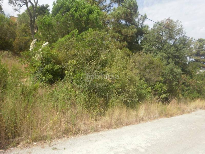 Foto 4d1ef1ae-db70-4552-84d5-63fab17e3623. Wohngrundstück in Montbarbat Maçanet de la Selva
