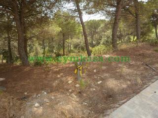 Terreny residencial a Mas Mora-Sant Daniel. Terreno de nueva construcción en venta
