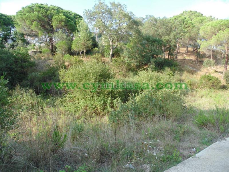 Foto c8ae76a5-cabf-43f7-8c44-d0f2dee6488f. Terreno residencial terreno de nueva construcción en venta en Tordera