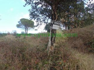 Finca rústica a Mas Altaba - El Molí. Terreno en venta