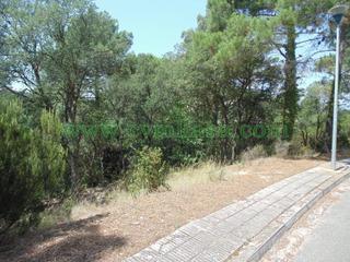Finca rústica a Terrafortuna - Puig Ventós. Terreno en venta