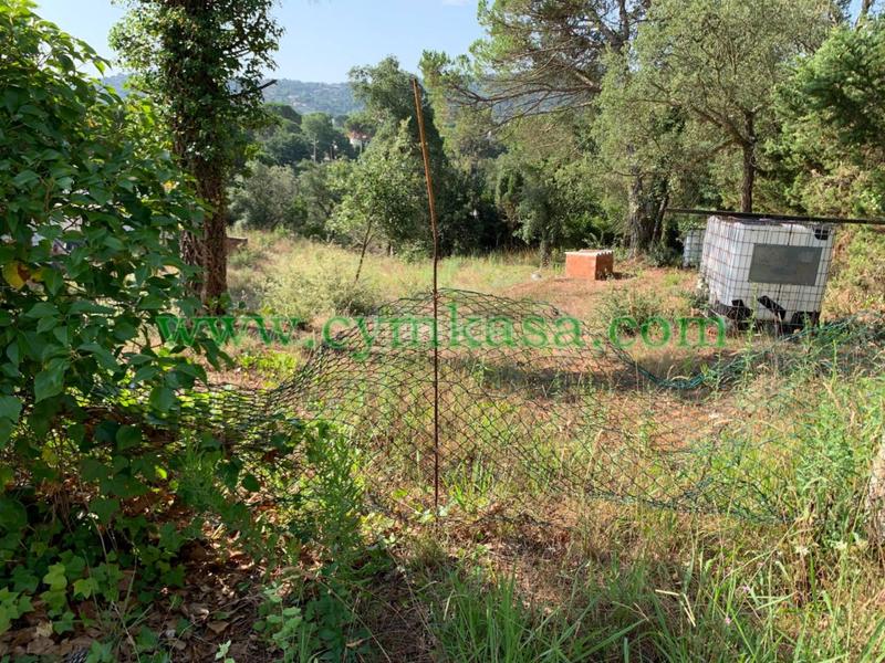 Foto 24664f85-46ca-46c2-b9ac-2b56c77d266e. Residential plot in Montbarbat Maçanet de la Selva