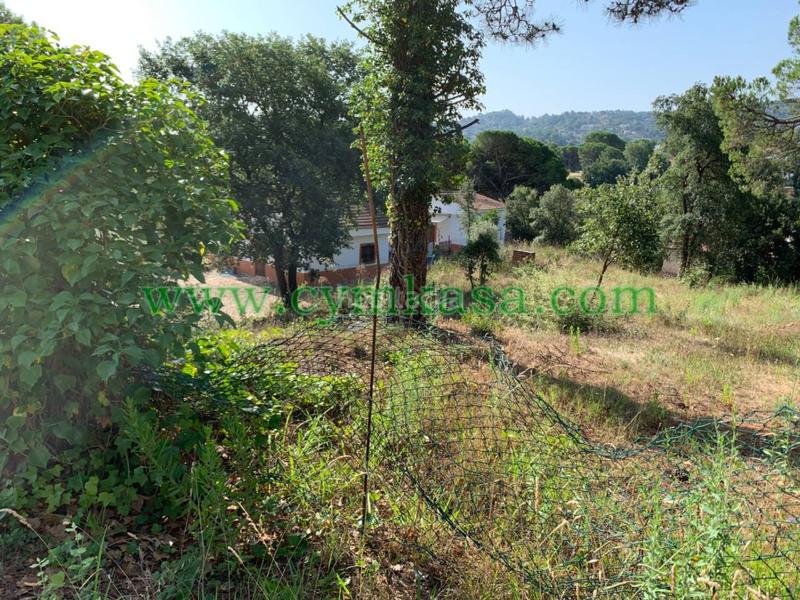 Foto 4fb47fef-459d-46ae-955e-d3a66e76230a. Residential plot in Montbarbat Maçanet de la Selva