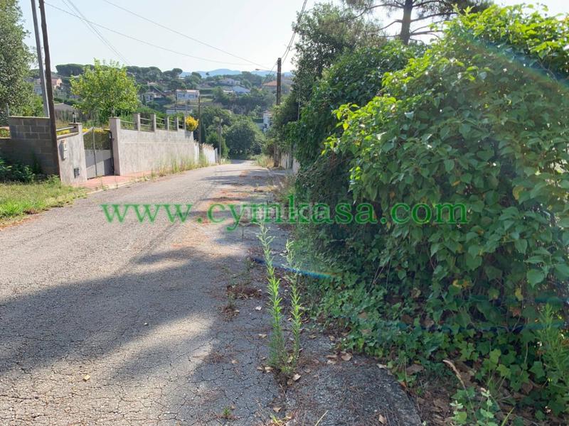 Foto 72304ada-22cb-4112-9732-3c74131aa6f9. Residential plot in Montbarbat Maçanet de la Selva