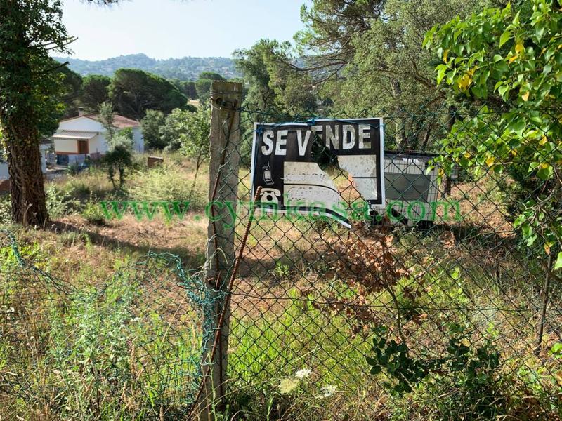 Foto e568471e-5ead-4659-9bd8-79881de8eac0. Residential plot in Montbarbat Maçanet de la Selva