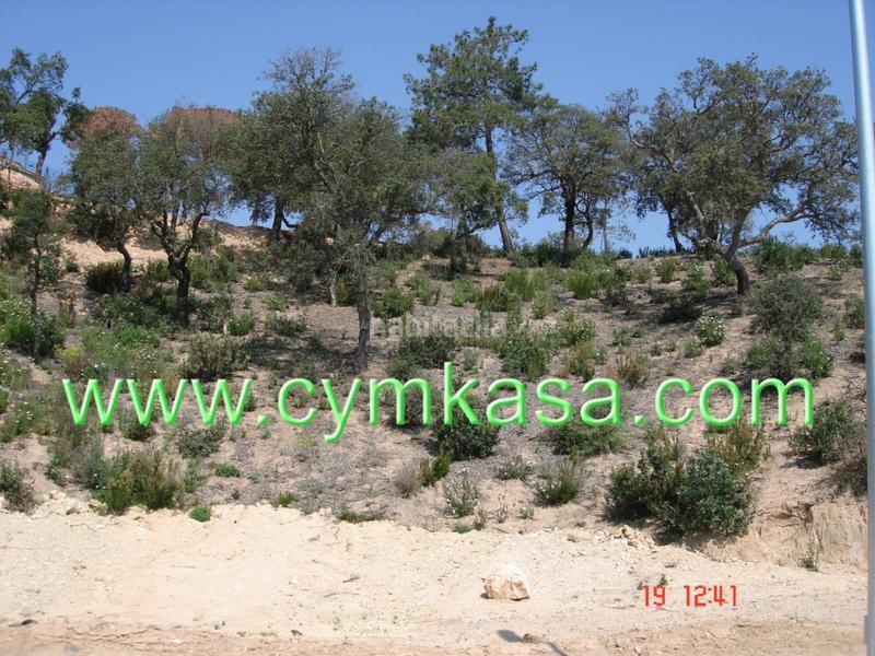 Foto 6c9ba26f-440c-4e22-b728-5a1775fb77f2. Terreny residencial a terrabrava - Tordera parc Tordera