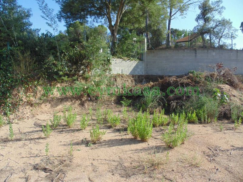 Foto 09d9b763-4e38-4d2a-9ee0-64528260d10d. Terreny residencial a Lloret Verd - Els Pinars Lloret de Mar