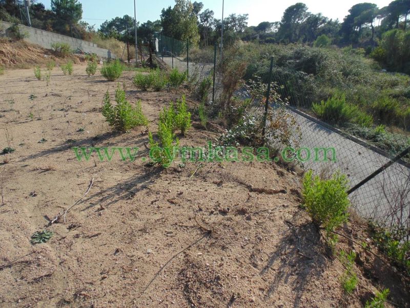 Foto 1aa6dd5e-744e-4c26-ade5-292e96c8c578. Terreny residencial a Lloret Verd - Els Pinars Lloret de Mar