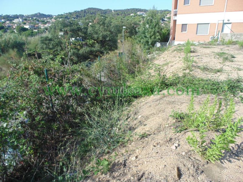 Foto c1b12bff-8d37-4fc7-a01c-5be3b67932d2. Terreny residencial a Lloret Verd - Els Pinars Lloret de Mar