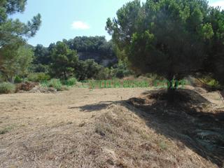 Terrain résidentiel à Lloret Verd - Els Pinars. Terreno en venta en urbanitzacions del nord
