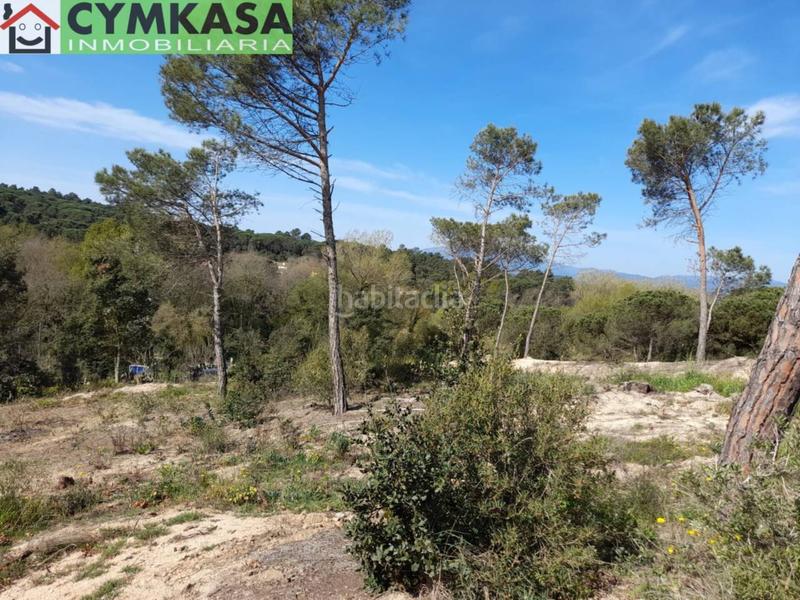 Foto 17ef067e-d95c-40e3-9f32-6f8ca033844a. Terreno residenziale in Montbarbat Maçanet de la Selva