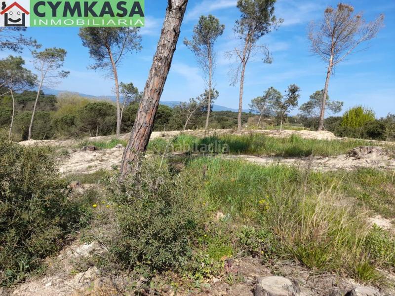 Foto 8e764994-0ef0-452d-8b22-9d06c1b83572. Terreno residenziale in Montbarbat Maçanet de la Selva