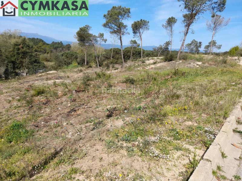 Foto bf3addcb-06b6-4073-9c52-d600ac777b9f. Terreno residenziale in Montbarbat Maçanet de la Selva