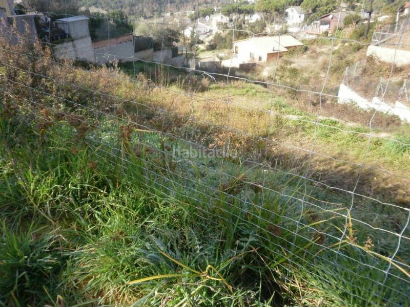 Foto 2b9a8d09-e1a7-49be-a6c4-018d82e56f39. Propriété dans Mas Altaba - El Molí Maçanet de la Selva