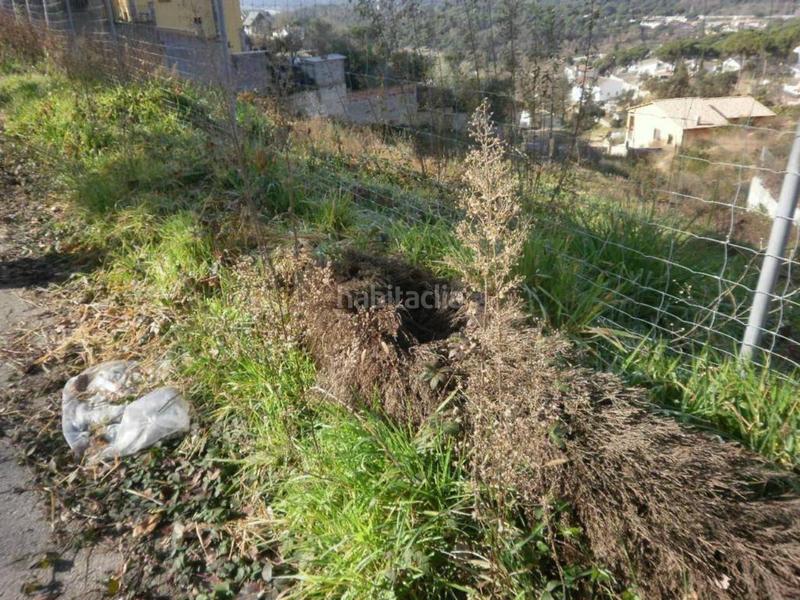 Foto af43d598-a01d-4098-a4e0-e527c23bfbe7. Propriété dans Mas Altaba - El Molí Maçanet de la Selva