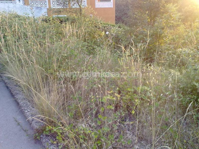 Foto 2e5b2ef0-a36c-4b2d-a5f8-0618fe92384c. Terreny residencial a Mas Altaba - El Molí Maçanet de la Selva