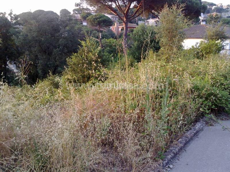 Foto 4904d841-f466-4998-b633-25329dbbb7a5. Terreny residencial a Mas Altaba - El Molí Maçanet de la Selva