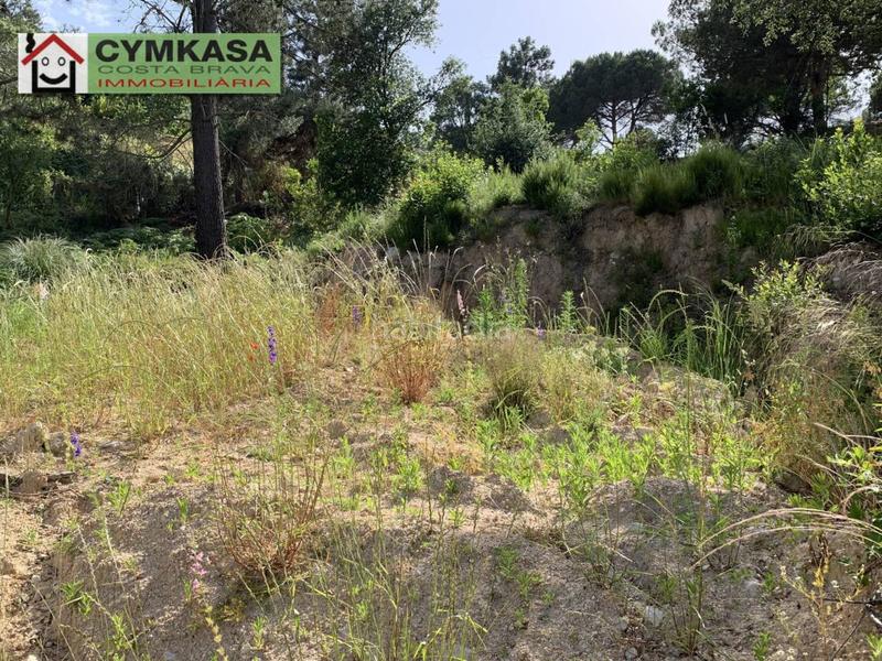 Foto 04a234ed-54c7-4a7c-ad1f-564530bd09ad. Propriété dans Montbarbat Maçanet de la Selva