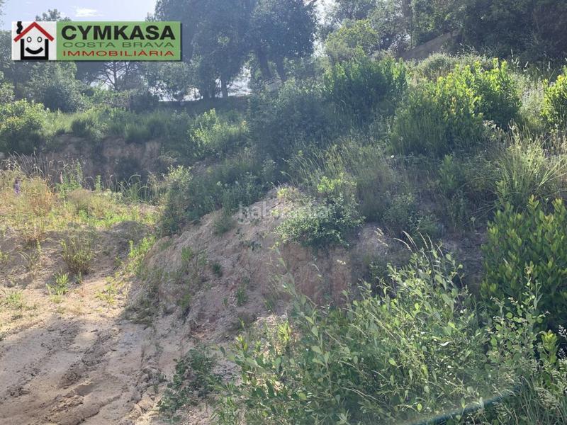 Foto 42052817-d41e-477e-8298-540330d08353. Propriété dans Montbarbat Maçanet de la Selva