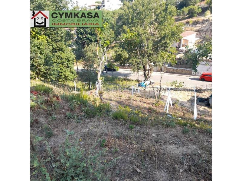 Foto 9b6d480a-4b64-46b9-9300-515110ac5bbf. Finca rústica terreno en venta en Montbarbat Maçanet de la Selva