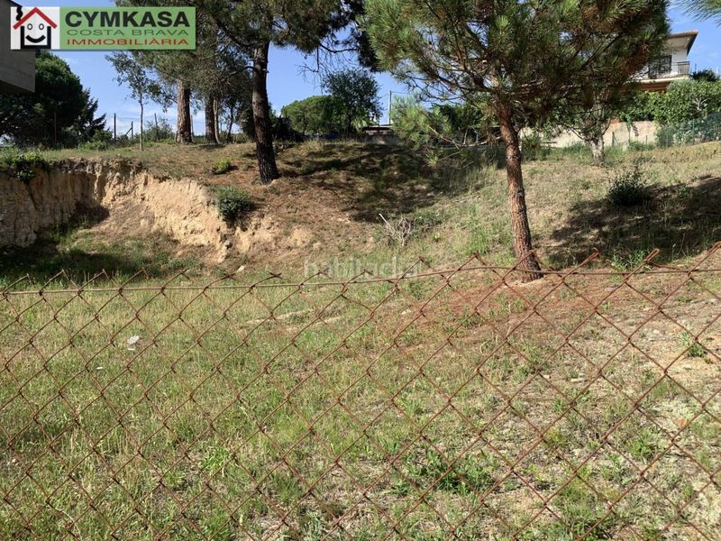 Foto 3560dc45-26c9-4d99-8887-2a0fdbdab53a. Finca rústica a Montbarbat Maçanet de la Selva