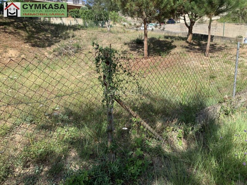 Foto 72ae1ab7-b356-4bec-87df-e9e63a672208. Finca rústica a Montbarbat Maçanet de la Selva