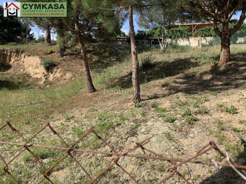 Foto d85390fb-1b91-4fc0-a5ae-3005ea987db0. Finca rústica a Montbarbat Maçanet de la Selva