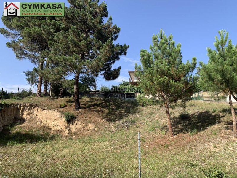 Foto e65fee2f-9fb8-4853-9262-8f42b1beb5e7. Finca rústica a Montbarbat Maçanet de la Selva
