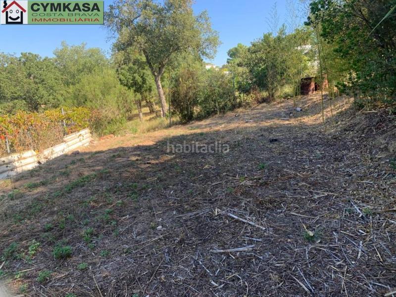 Foto 6edd4652-3b43-4061-8050-6a5e31b63bd9. Finca rústica a Sils