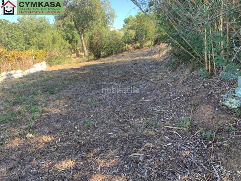 Foto e979ec81-415f-49c6-ba64-924a6a61ee63. Finca rústica a Sils