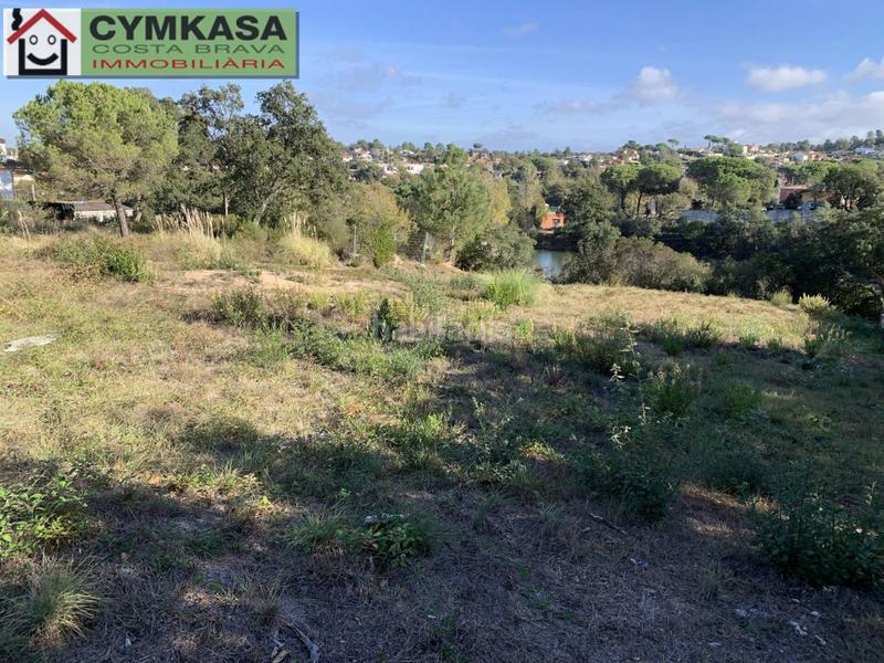 Foto 10ae7296-ac83-4d6c-a0ad-00c754eeed35. Propriété dans Montbarbat Maçanet de la Selva