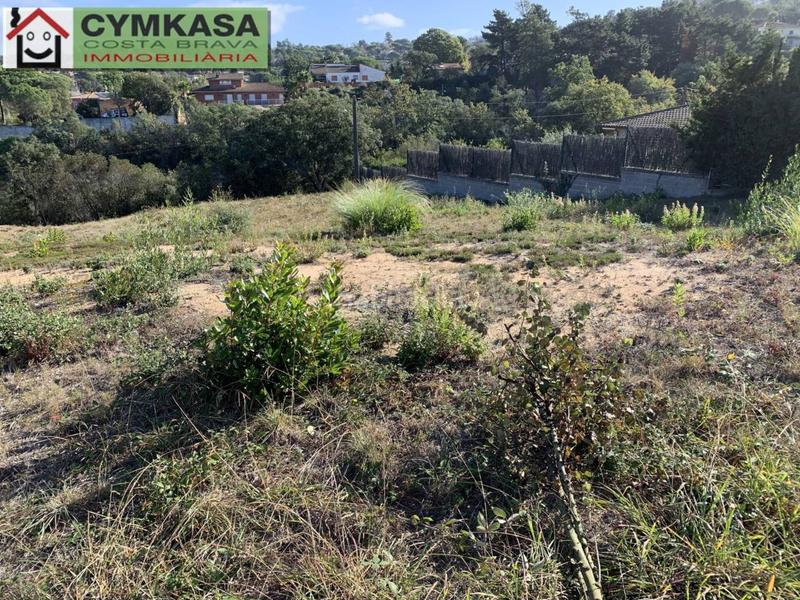 Foto 1e35be8c-a053-425f-8100-620d0935685f. Propriété dans Montbarbat Maçanet de la Selva