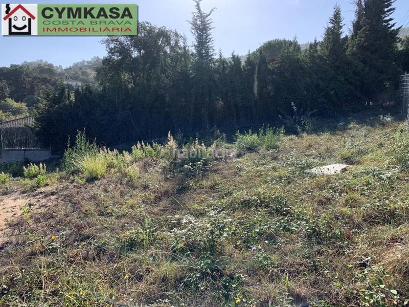 Foto bea383f9-20a1-453d-9c74-90c181eee4ce. Propriété dans Montbarbat Maçanet de la Selva