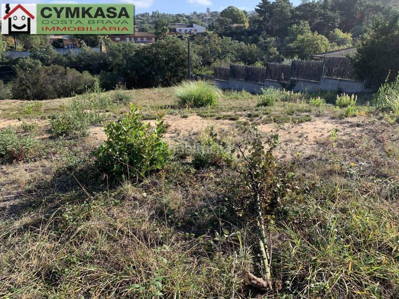 Foto c929374e-964b-4862-ae23-a92ae880d7f7. Propriété dans Montbarbat Maçanet de la Selva