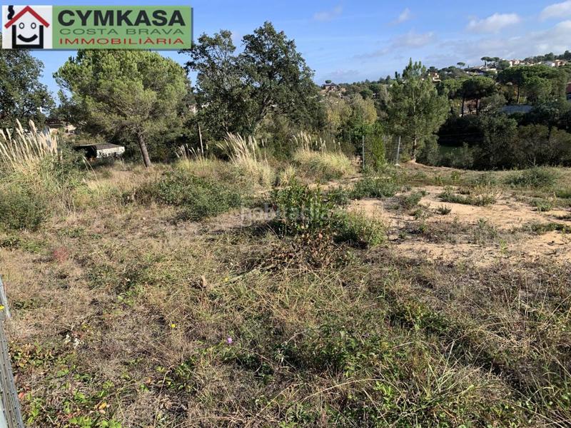 Foto efcdf28e-b7ab-470b-9368-3caeb4efb6a7. Propriété dans Montbarbat Maçanet de la Selva